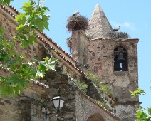 20060506 1444 Ooievaar - Santiago del Campo - ElsL