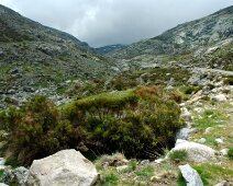 20060505 1410 Sierra de Gredos - Juist voor de regen - PiBe