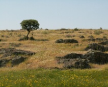 20060502 1246 Rotslandschap - HeMe