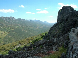Cabanas de Castillo, Almaraz