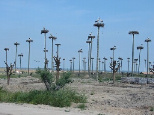 Caceres, Embalse de Caceres, Salor