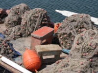080425 Skala - Visnetten - Henk Merts