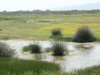 080425 13h33 Zoutpannen - - Rob Eveleens