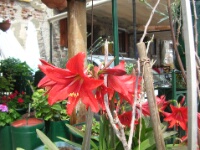 DSCN2200