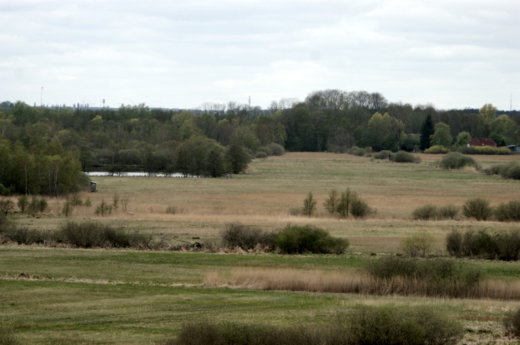 DSC04905