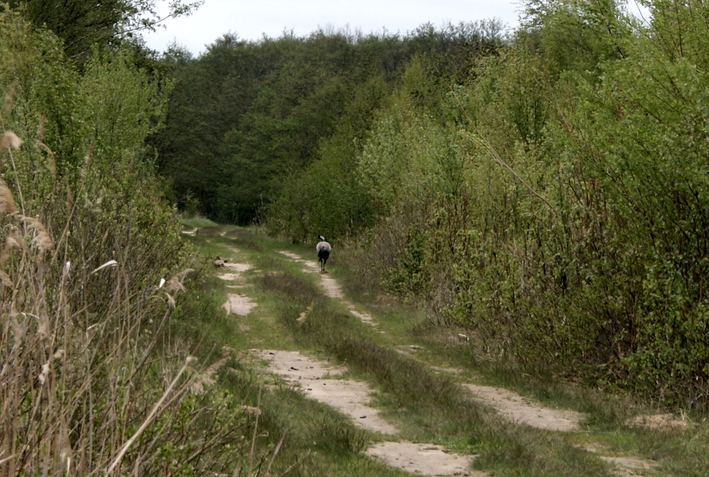 DSC04995