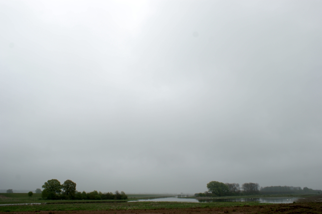 DSC05011