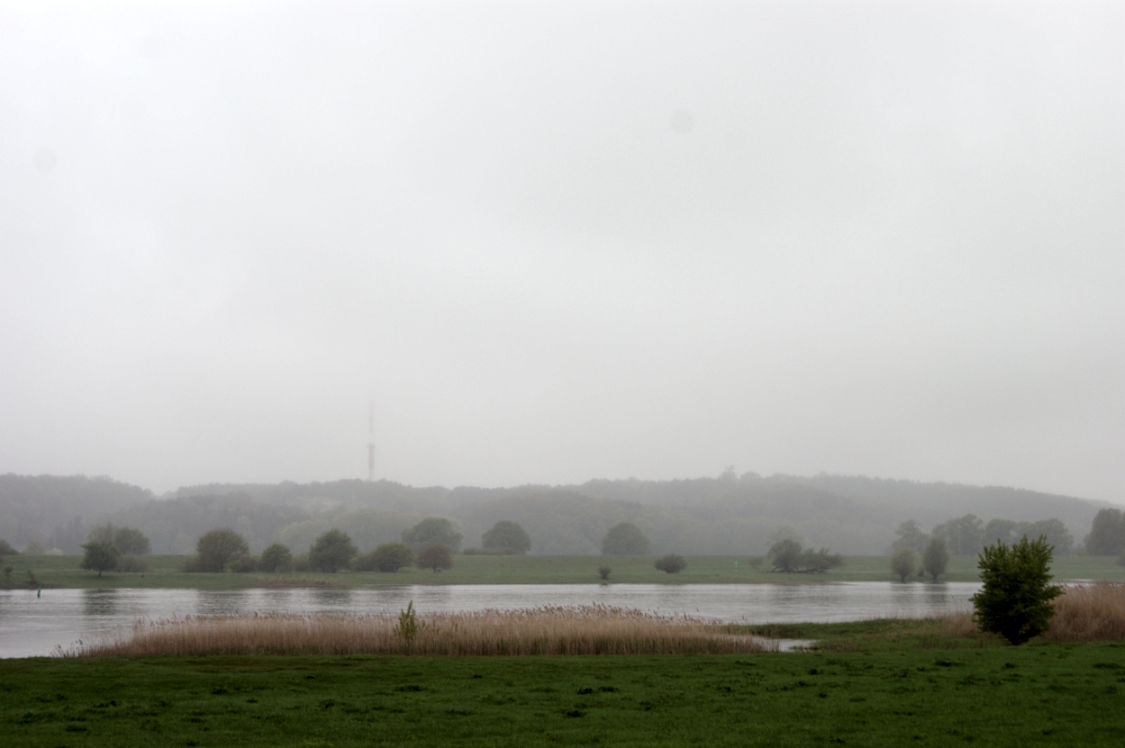 DSC05015