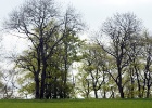 DSC04732