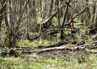 DSC04738