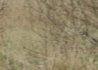 DSC04874