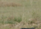 DSC04880