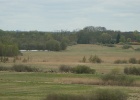 DSC04905