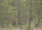 DSC04909