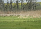 DSC04929