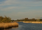 DSC04951