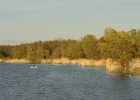 DSC04952