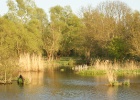 DSC04954