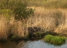 DSC04957
