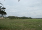 DSC04981