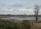 DSC04998
