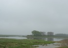 DSC05012