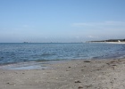 IMG 0005
