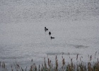 IMG 0029