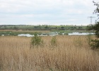 IMG 0071