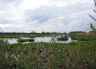 IMG 0072