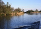 IMG 0078