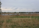 IMG 0089