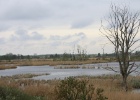 IMG 0093