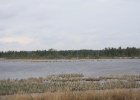 IMG 0094