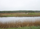 IMG 0099