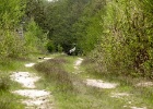 P1120448