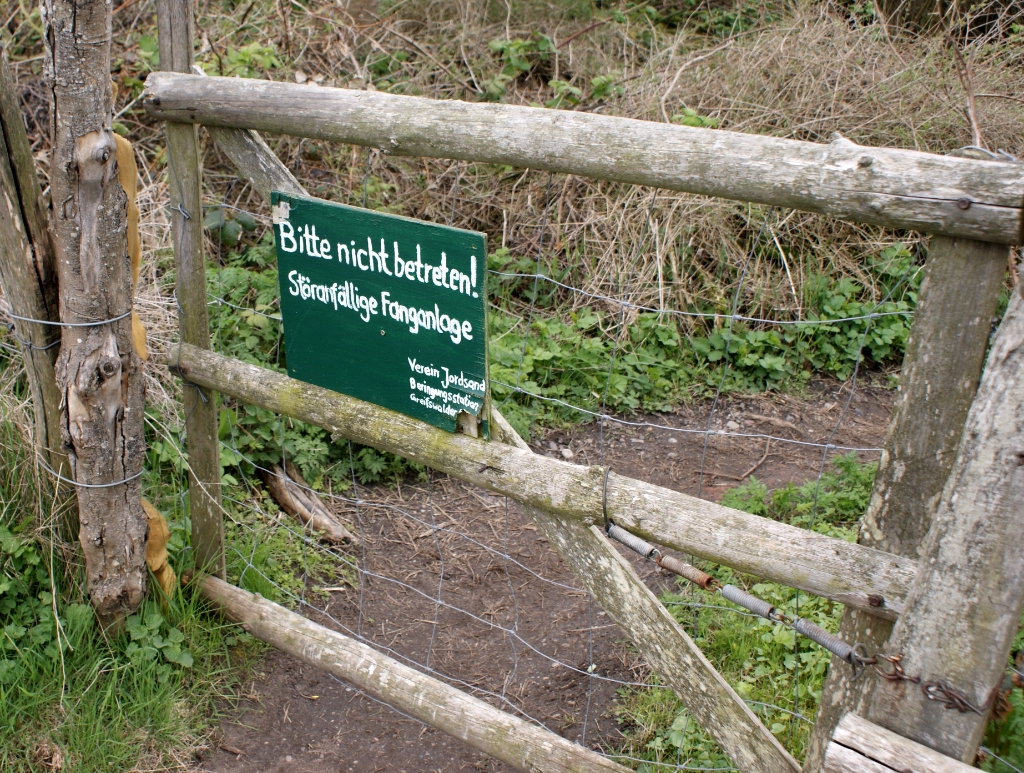 DSC04821