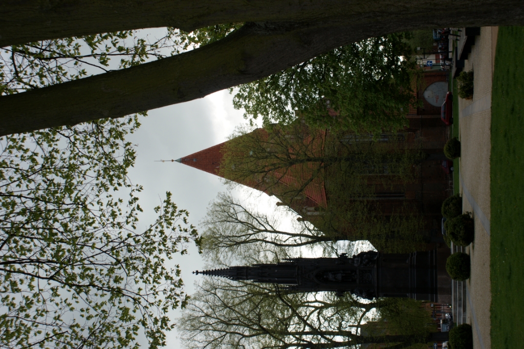 DSC04841