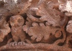 DSC04836