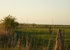 DSC04852