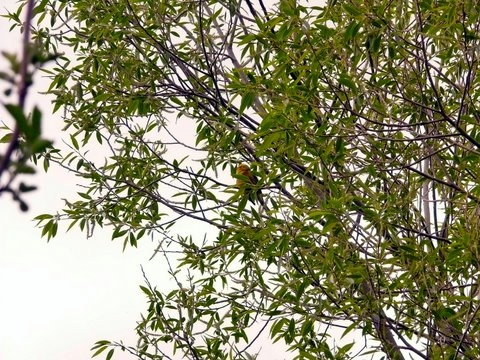 P1120406