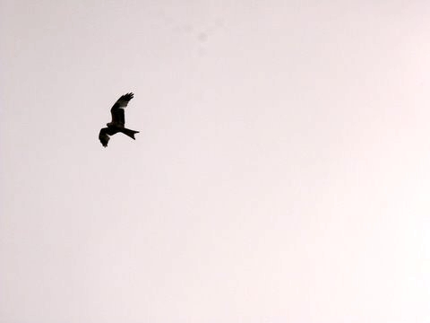 P1120423