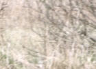 DSC04874