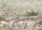 DSC04879