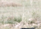 DSC04880