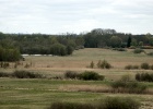 DSC04905
