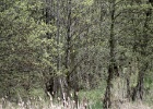 DSC04909