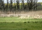 DSC04929