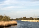 DSC04951
