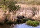 DSC04957